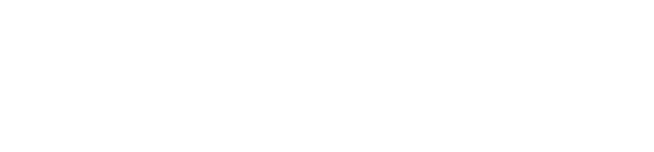 Saawmy TECH Logo